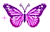 *butterfly