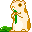*guinea