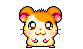 *hamtaro