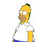 *homer2