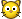 *kitten