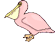 *pelican