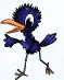 *raven