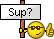 *sup