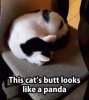 26-Funny-Pictures-That-Will-Make-You-Smile-002.jpg