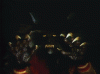 tumblr_n41j8oUYqG1tx6abno1_500.gif