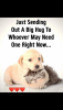 1559408372539.png