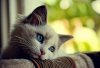 Here-comes-that-rainy-day-feeling-again-..._kindlephoto-58672568.jpg