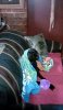 IMG_20180331_222031_hdr.jpg