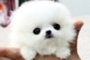 1584389922372.png