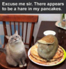 1584666527886.png