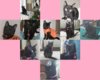 bellaheartcollagesmaller.jpg