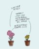 Flowers.jpg