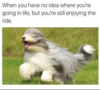 1586337753081.png