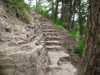 DSC04314.JPG