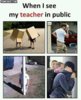 images (16).jpeg