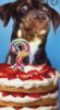 Screenshot_20200506-065628_Chrome.jpg
