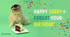 belated birthday.jpg