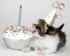 263F27FF-447C-470B-8065-84AD5FD2CAE4.jpeg