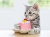 KimballStock_CAT-03-YT0022-01_preview.jpg