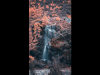 870BAF1B-B5A3-4A99-ABCB-87C91DA57E29.png