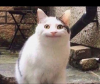 1590383985923.png