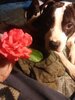 IMG_20200605_171141.jpg