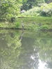 20200606_124220.jpg