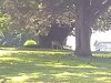 IMG_20190616_105534994.jpg