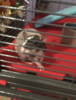1592534508606.png