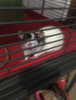 1592534567738.png