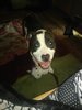 IMG_20200625_123757.jpg