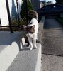 20200728_073030~2.jpg