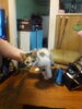 20190628_105858.jpg