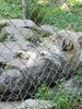 20200801_103503.jpg