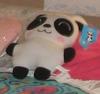 mypanda.png