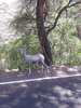 20200818_131456.jpg
