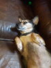 20190628_092027.jpg