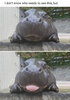 DF9E059A-9642-4F3E-B4B9-F5C3ED34F3AE.jpeg