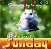 Screenshot_20200830-075027_Chrome.jpg