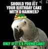 Screenshot_20200902-192745_Chrome.jpg