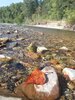 20200906_161611.jpg