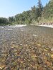 20200906_154111.jpg