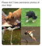 1599745727692.png