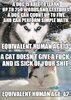 FB_IMG_1576874052297.jpg