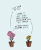 Flowers.jpg