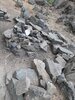 20200914_143620.jpg