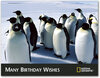 Bday 1.jpg