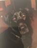 1600512761953.png