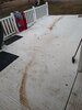 IMG_20200130_101733543.jpg